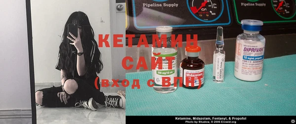прущие грибы Богородск