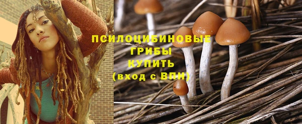 а пвп мука Богородицк