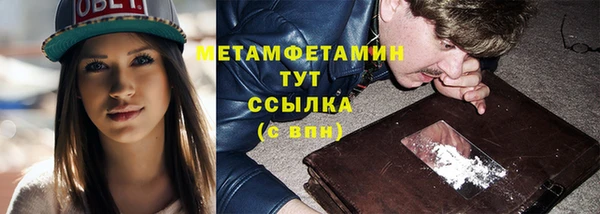 прущие грибы Богородск